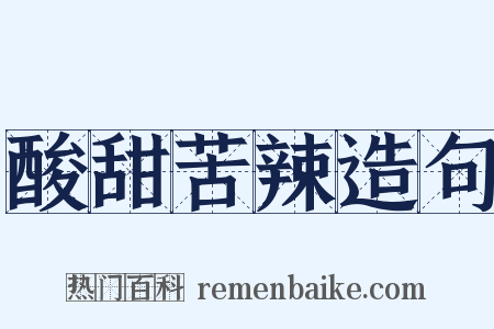 酸甜苦辣造句是什么意思的图片